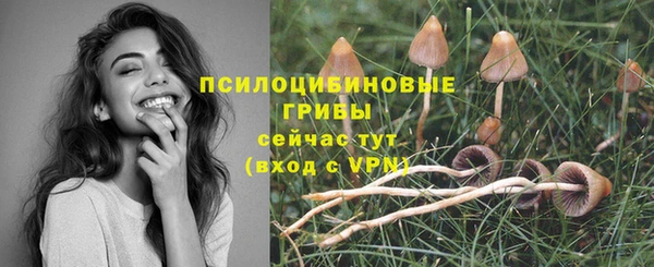 герыч Верея