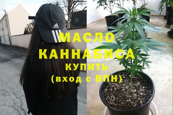 индика Бородино